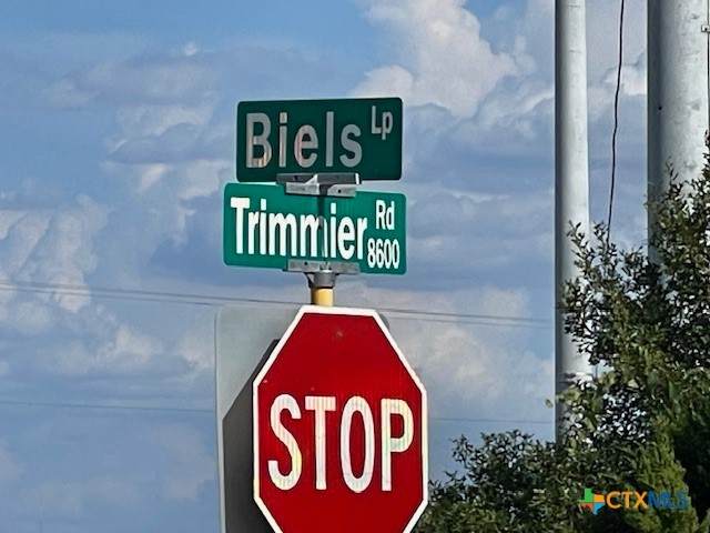 000 Trimmier & Biels Loop Road - Photo 1
