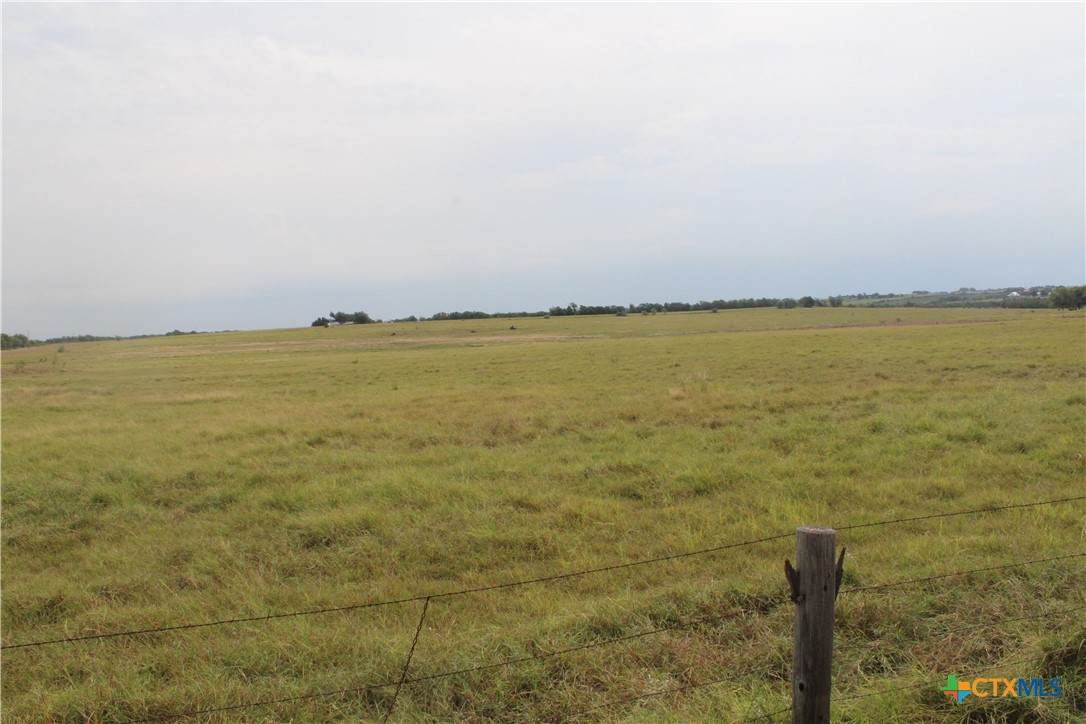 TBA County Road 417 - Photo 1