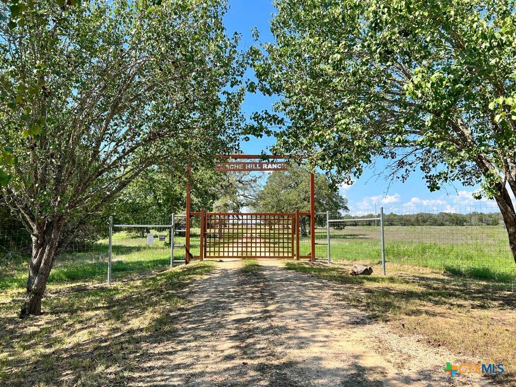 TBD Old Lockhart Rd - Photo 1