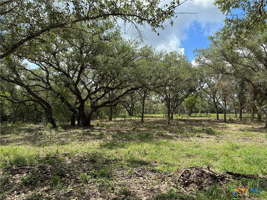 1776 Fm 1351 - Photo 1