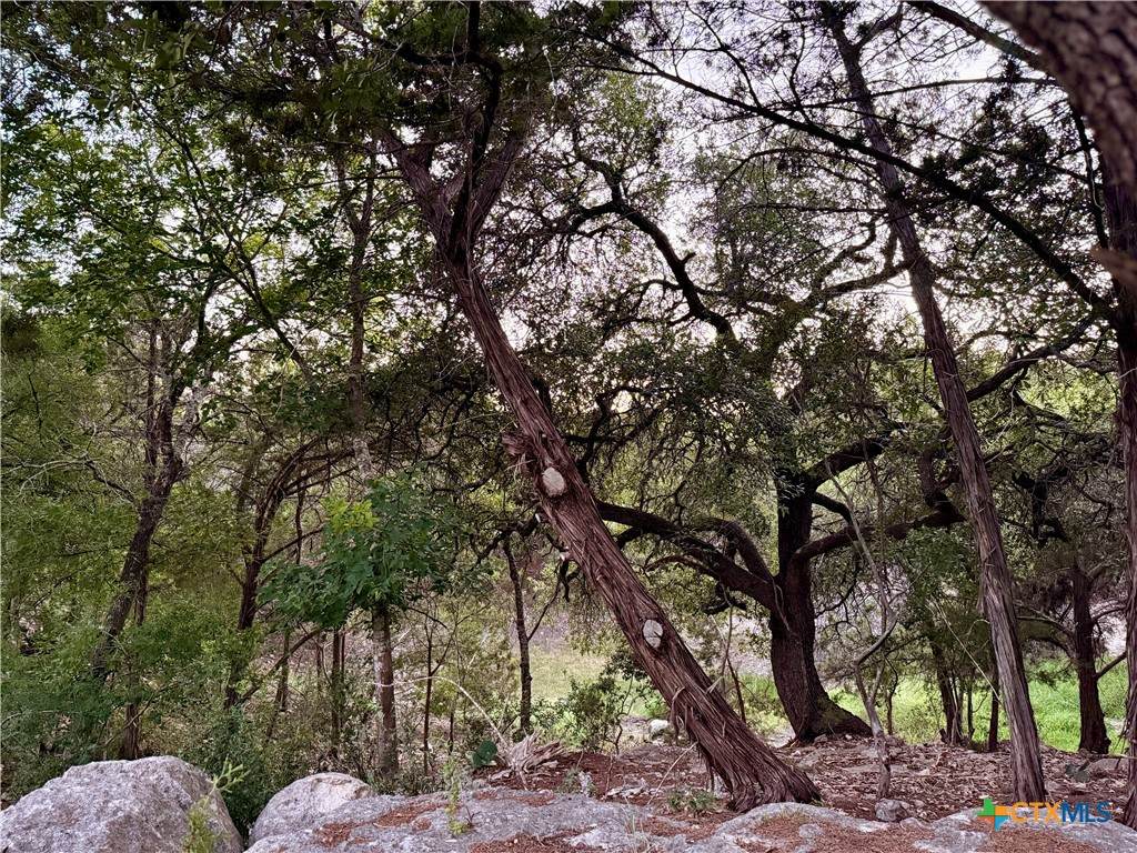 https://bt-photos.global.ssl.fastly.net/centraltx/orig_boomver_1_591376-2.jpg