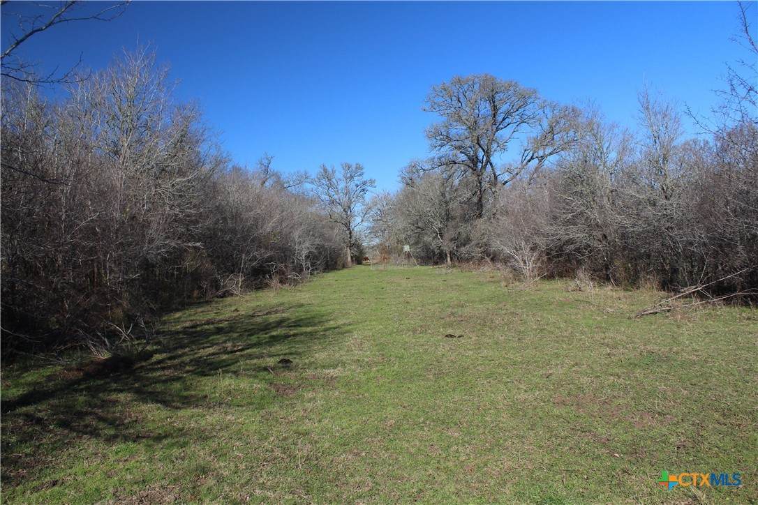 1223 County Road 429 - Photo 1