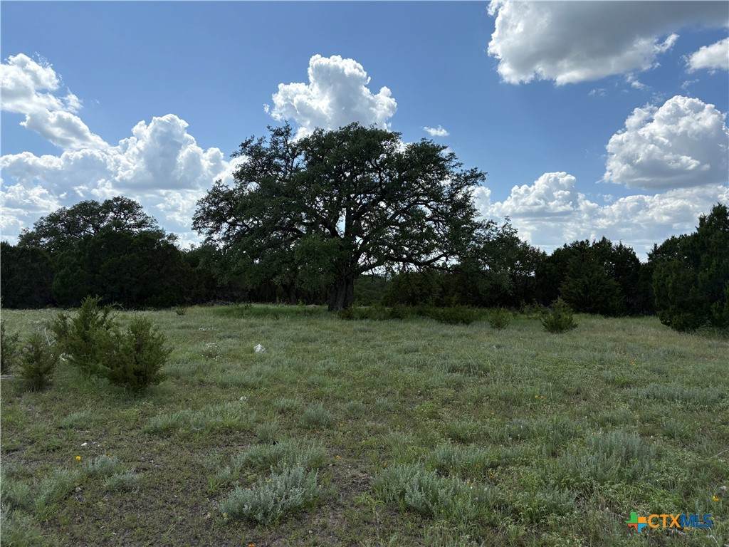 TBD Deer Run Court - Photo 1