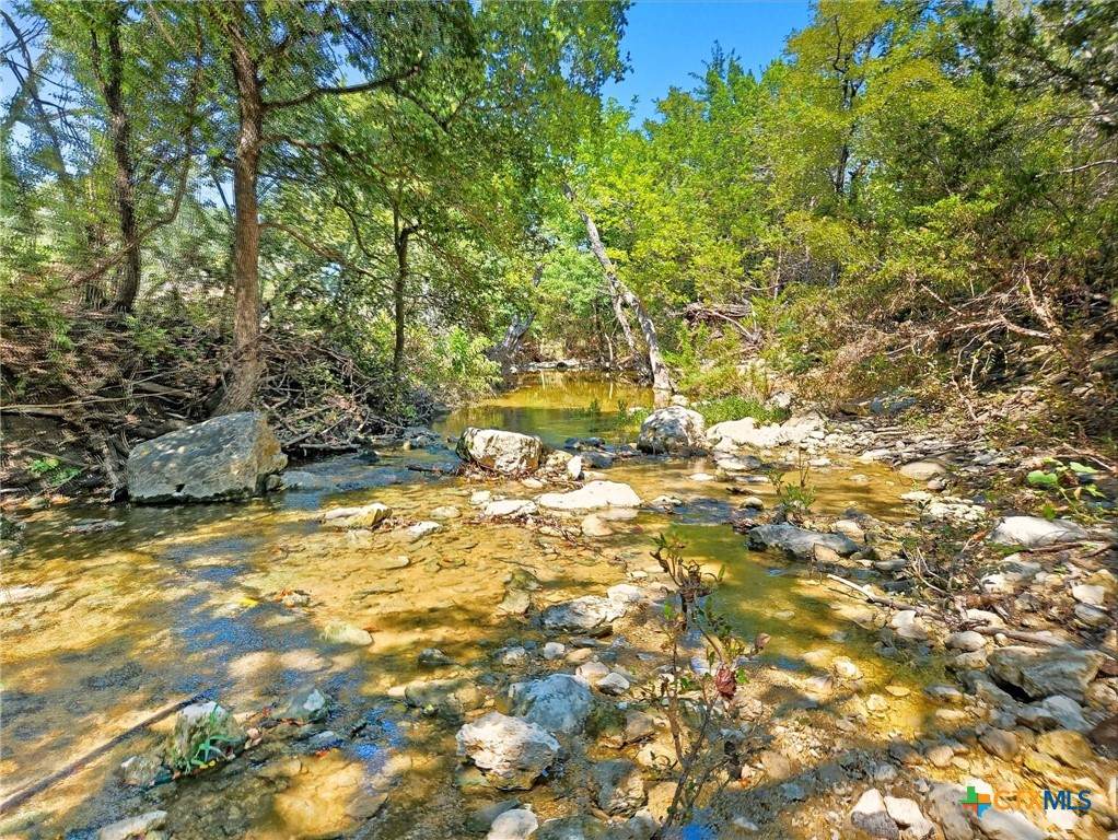 TBD-176 Acres Fm 116 Road - Photo 1