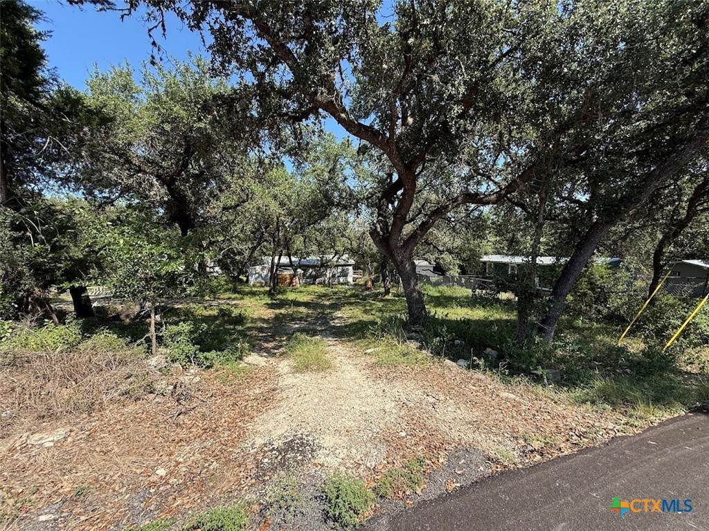 107 Deer Oak - Photo 1