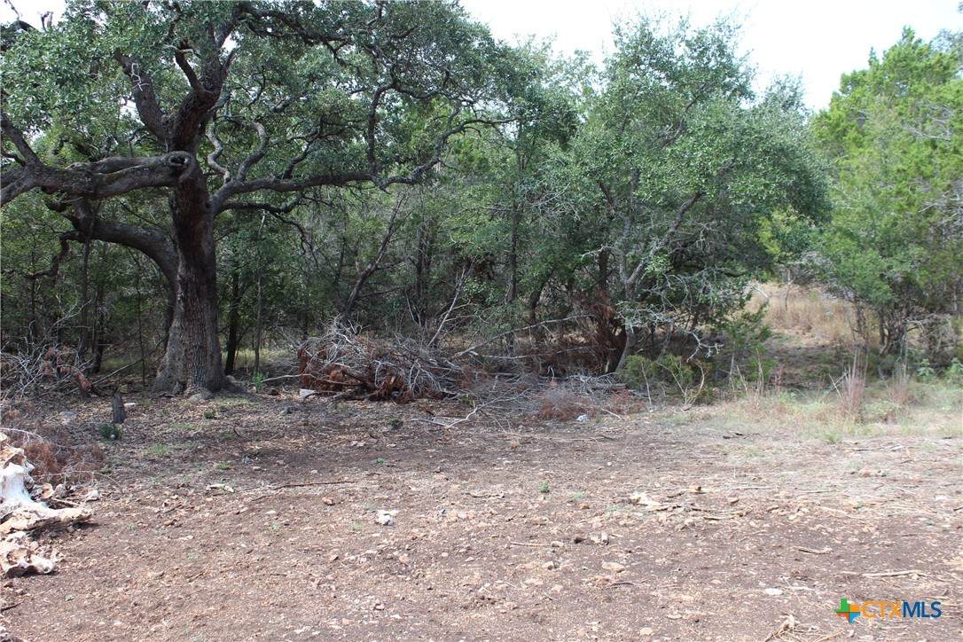 https://bt-photos.global.ssl.fastly.net/centraltx/orig_boomver_1_592837-2.jpg