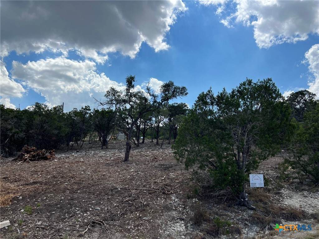 320 Lexington Pass - Photo 1