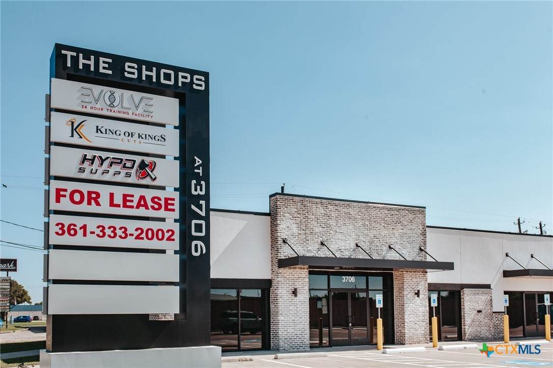 3706 Navarro Street - Photo 1