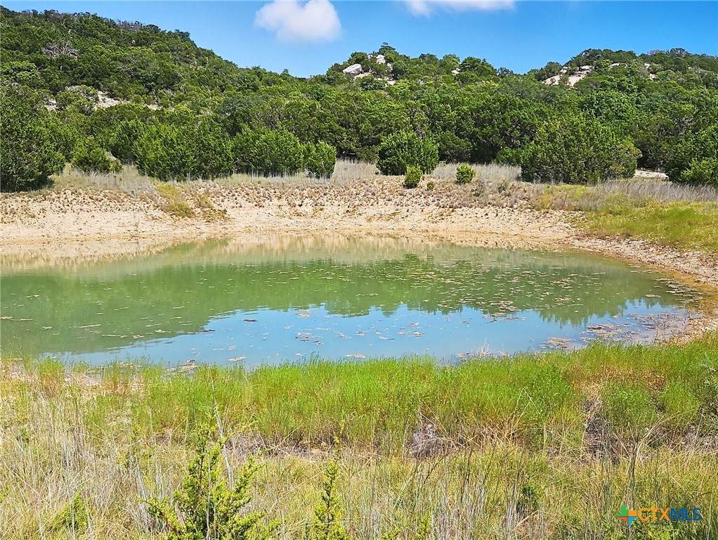 TBD-17.6 Acres Fm 1690 - Photo 1