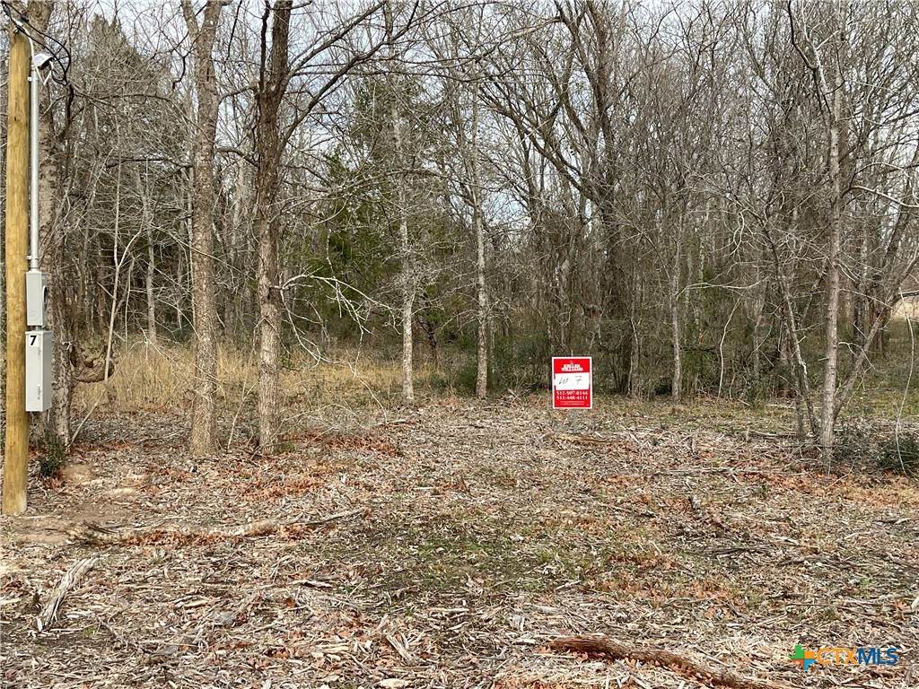 1310 Cypress Trail Loop - Photo 1