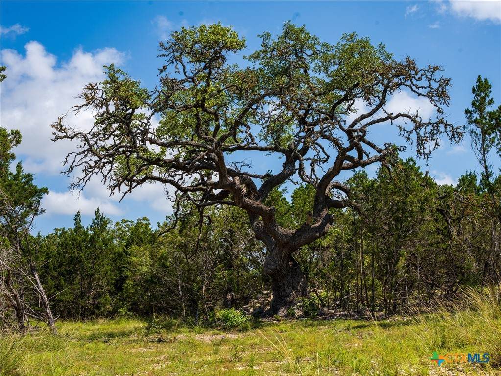 000 Oak Valley Ranch - Photo 1