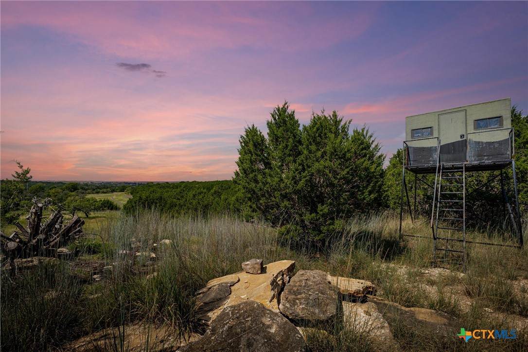 1782 Fm 218 - Photo 1