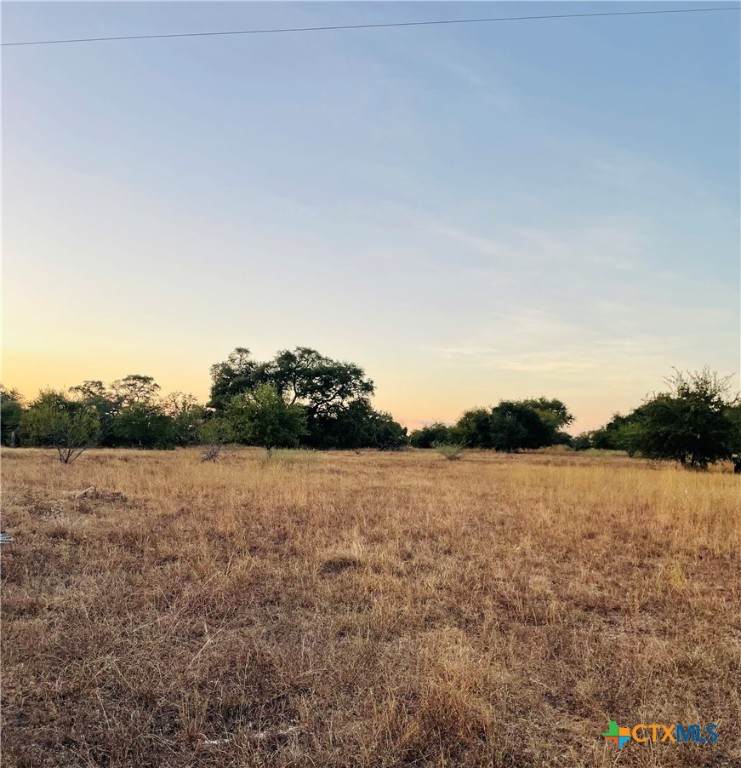 TBD Causey Lane - Photo 1