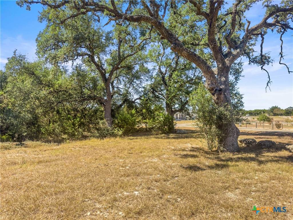 1043 Long Hollow - Photo 1