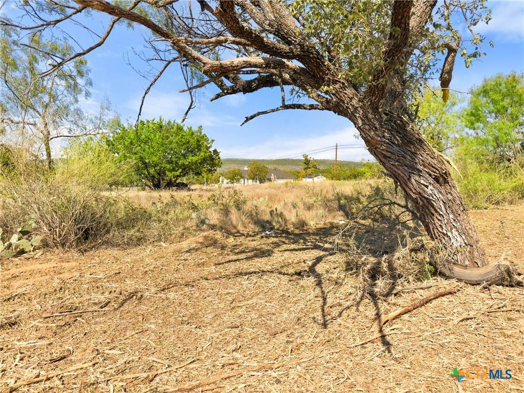 1133 County Road 118 - Photo 1