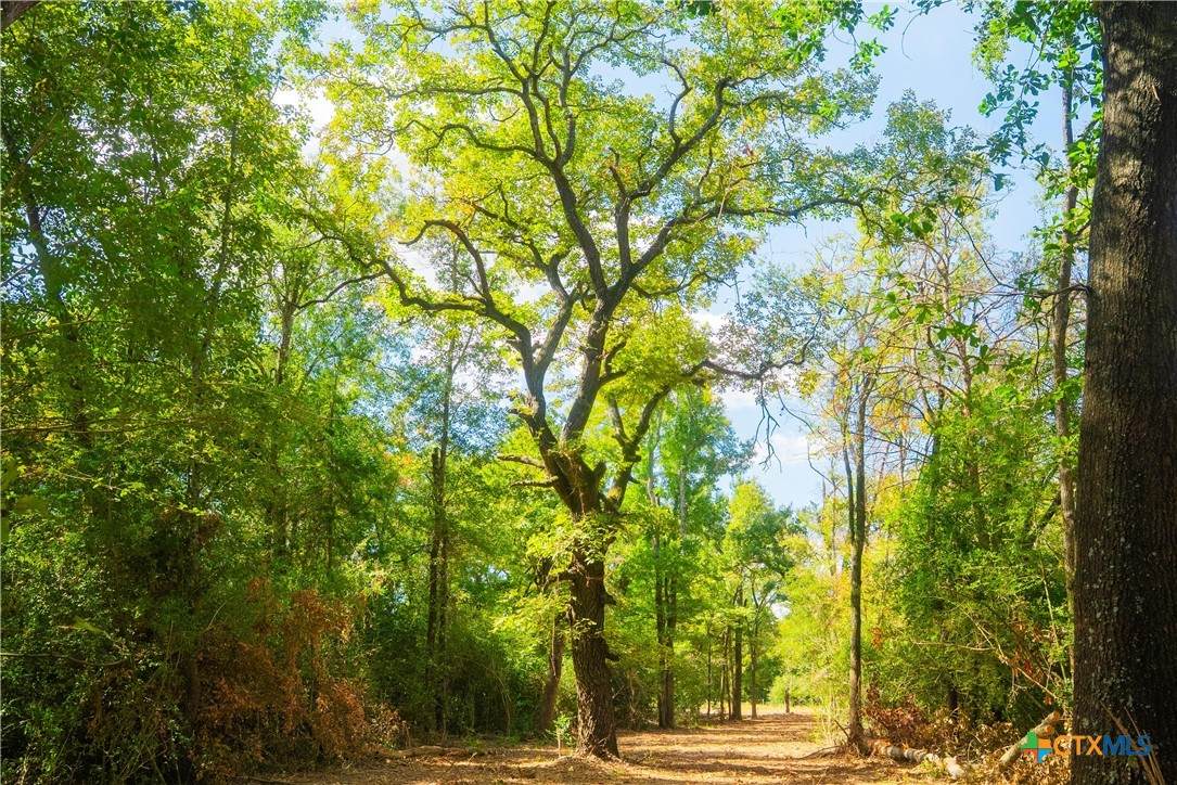 12582 Red Hill Rd - Photo 1