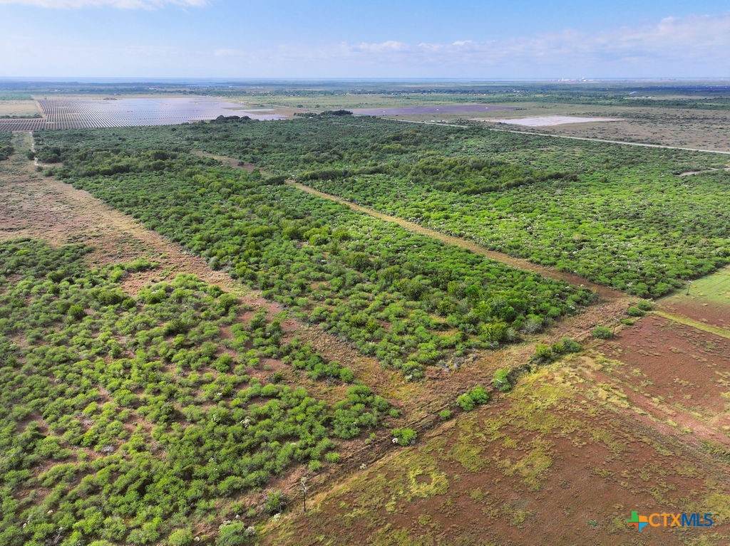 516 County Road 302 - Photo 1