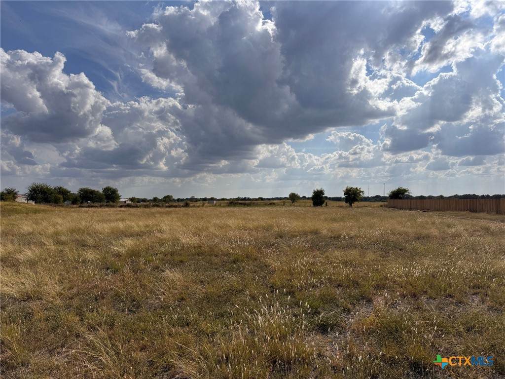 8137 Evenfall Ln - Photo 1