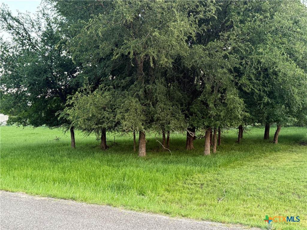 6 Blue Roan Drive - Photo 1