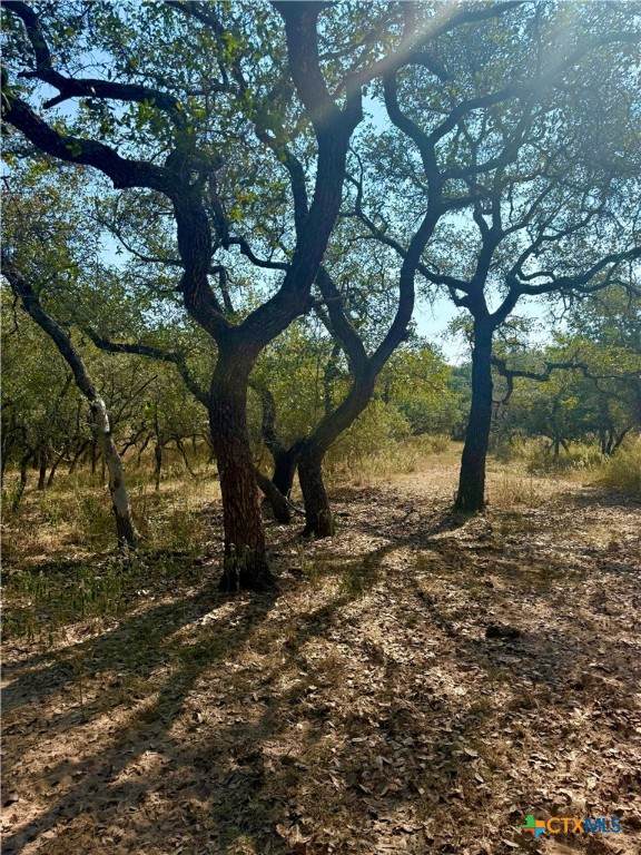 0 County Road 14/Pvt 1066 Tx - Photo 1