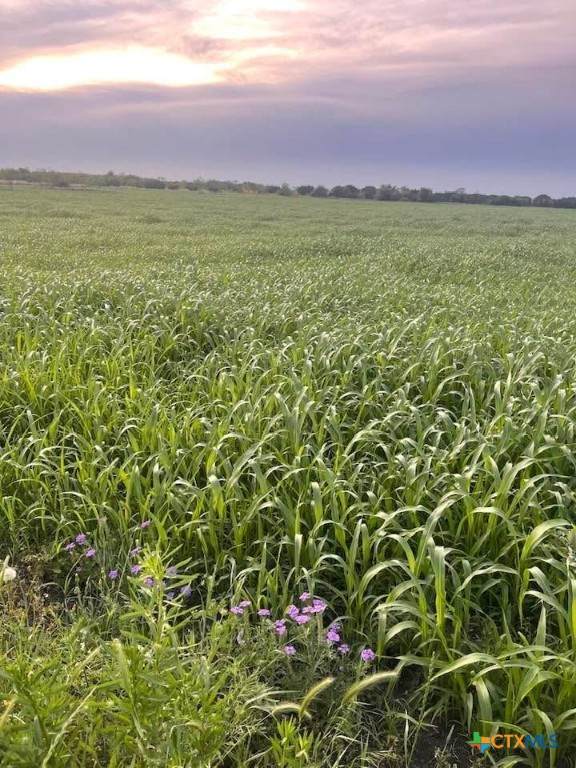 TBD Private Road 3642 - Photo 1