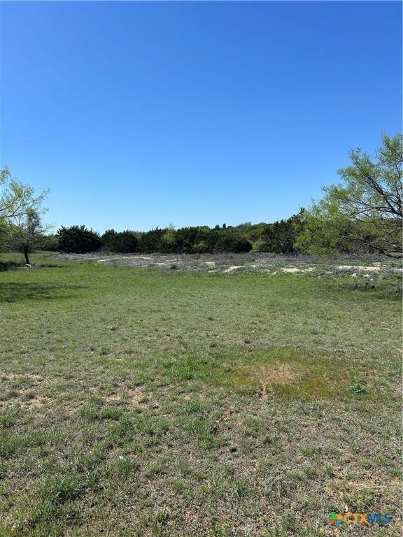 118 Cedar Bluff Loop - Photo 1