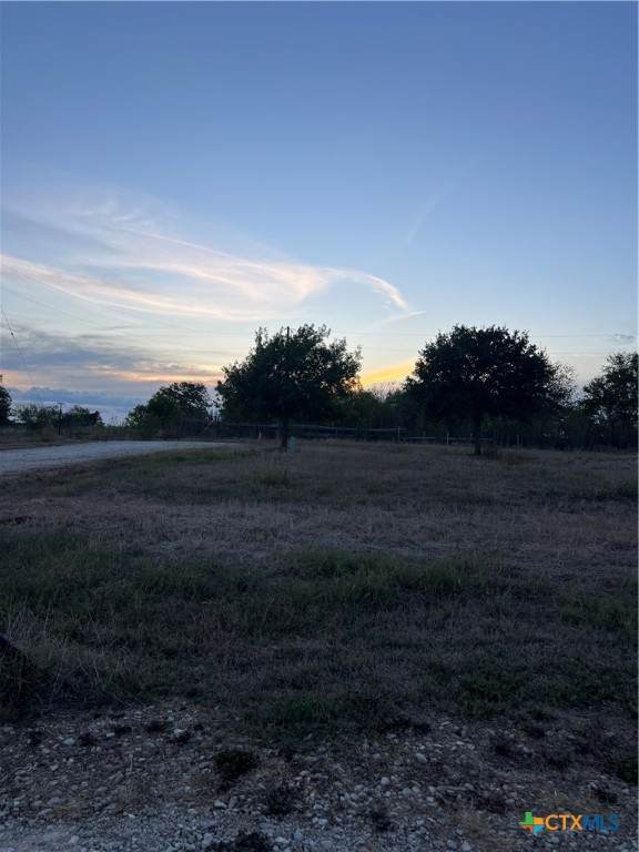 TBD Hwy 90A Drive - Photo 1