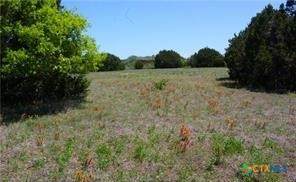 8590 Trimmier Road - Photo 1