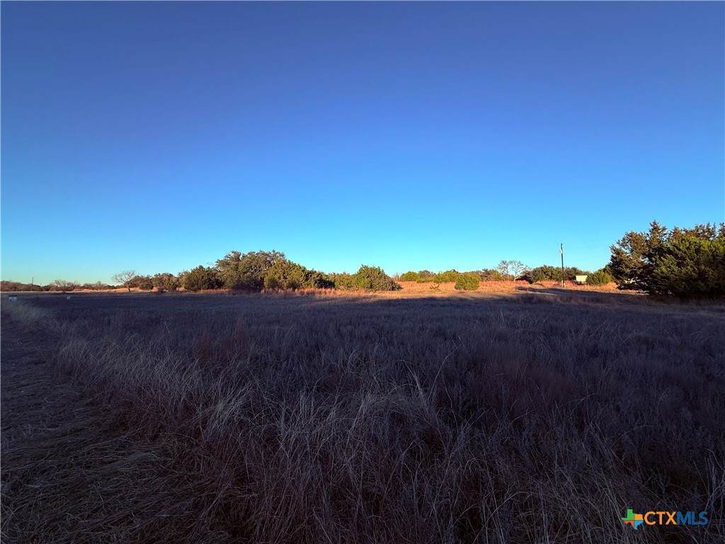 TBD County Road 3642 - Photo 1