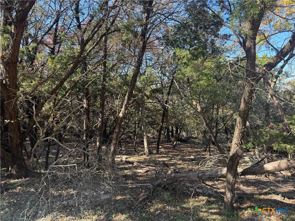 5982 Buggy Ride Road - Photo 1