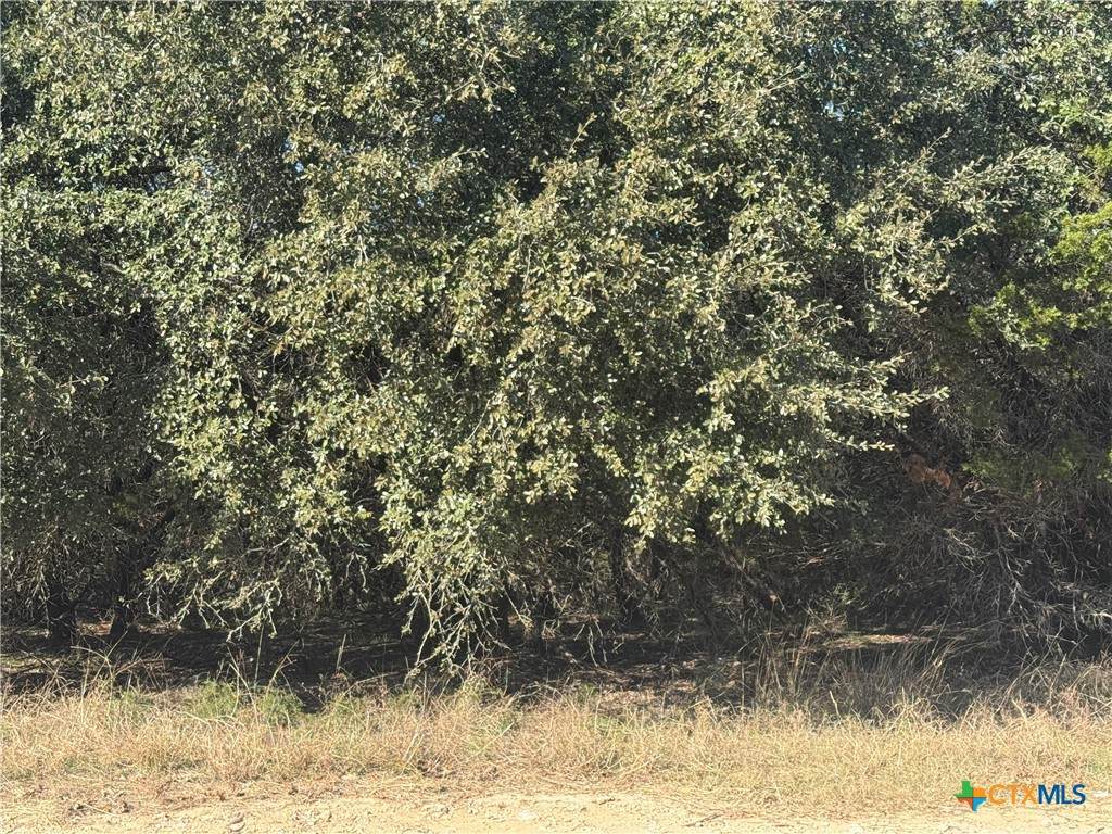 https://bt-photos.global.ssl.fastly.net/centraltx/orig_boomver_1_599756-2.jpg
