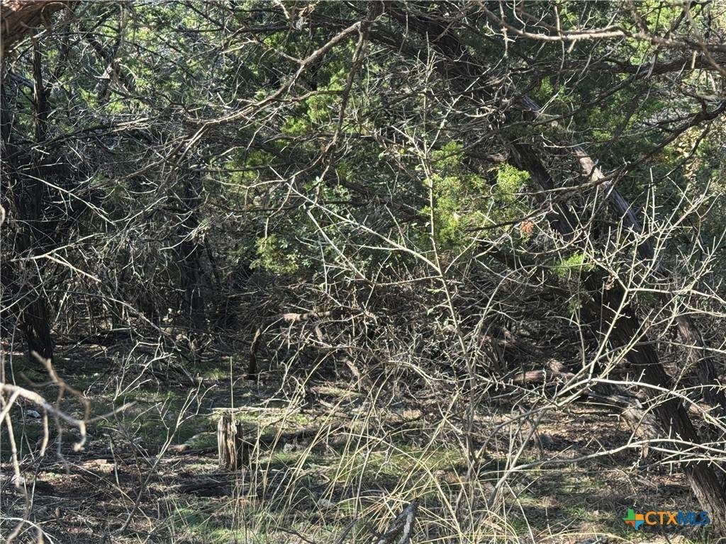 https://bt-photos.global.ssl.fastly.net/centraltx/orig_boomver_1_599756-2.jpg