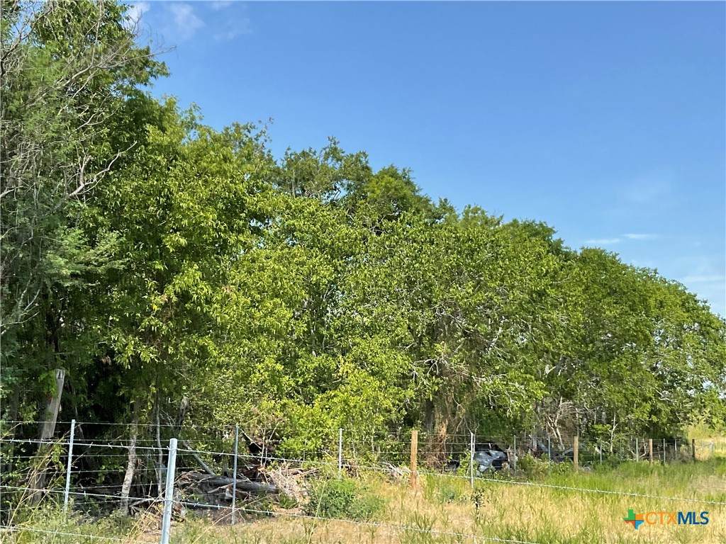 TBD Us Hwy 77A Street - Photo 1