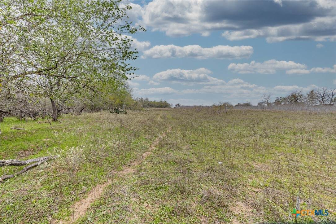 TBD County Road 157 - Photo 1