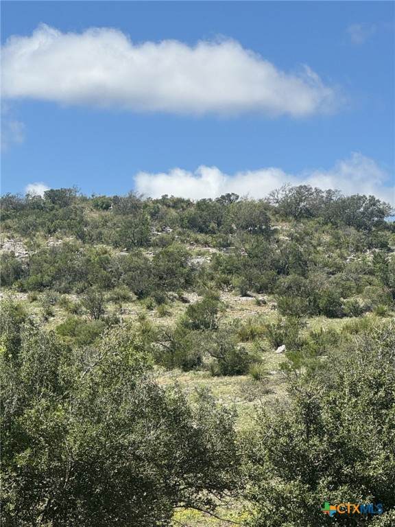 https://bt-photos.global.ssl.fastly.net/centraltx/orig_boomver_1_600381-2.jpg