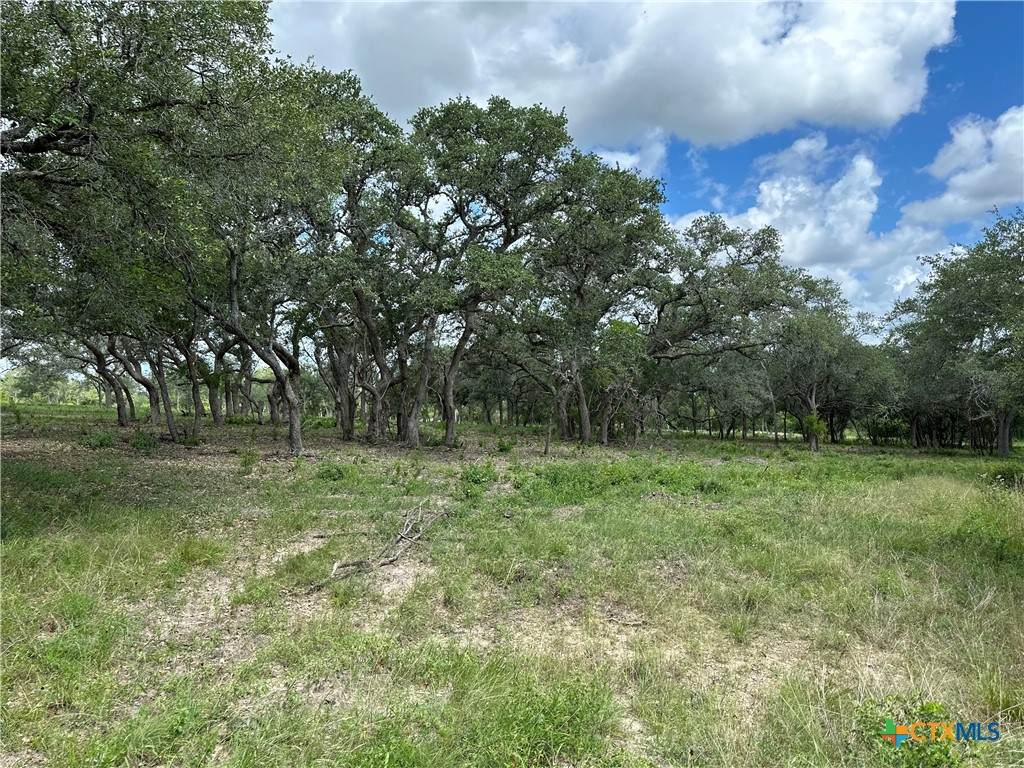 1776 Fm 1351 - Photo 1