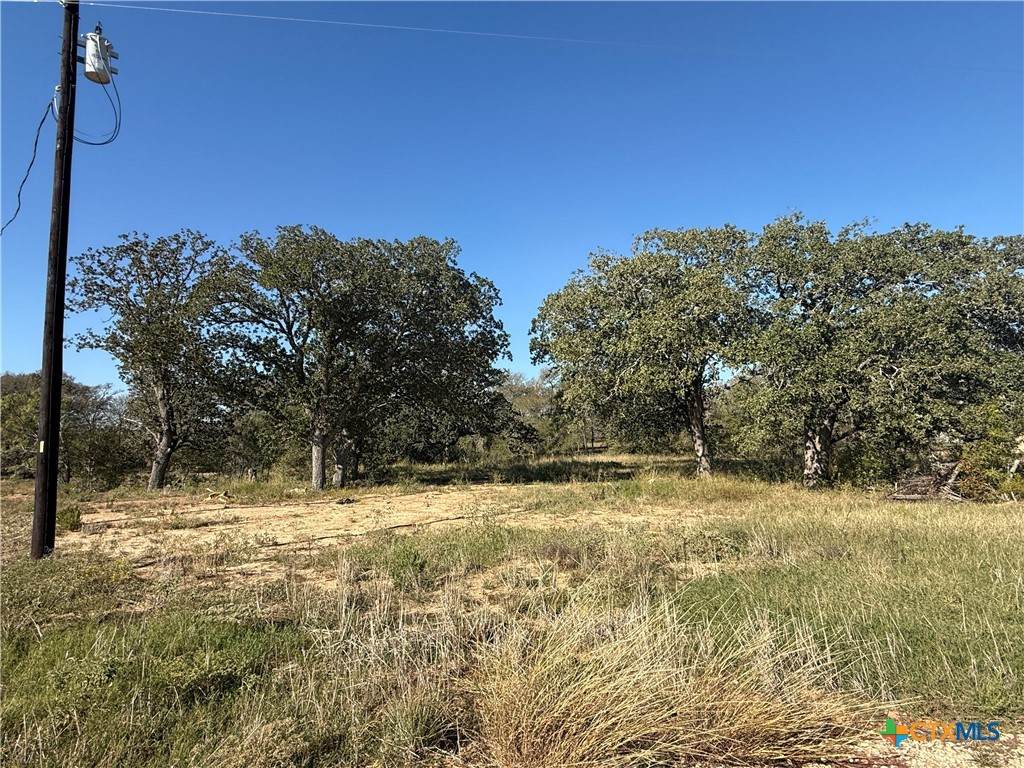 123 Grace Lane - Photo 1