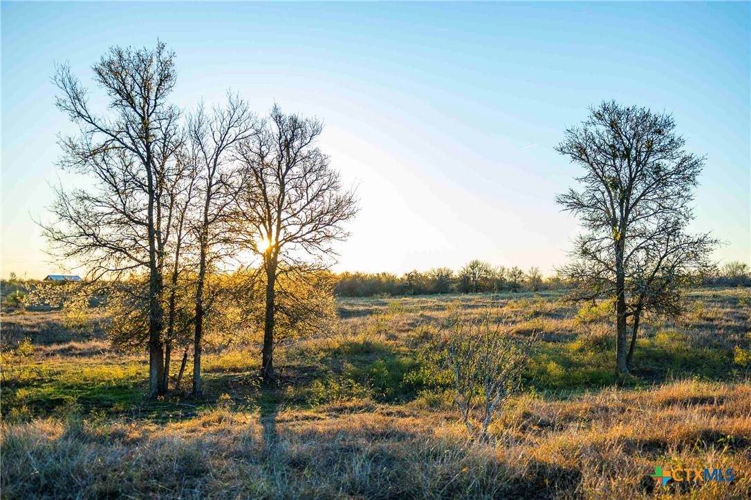 3191 County Road 463 - Photo 1