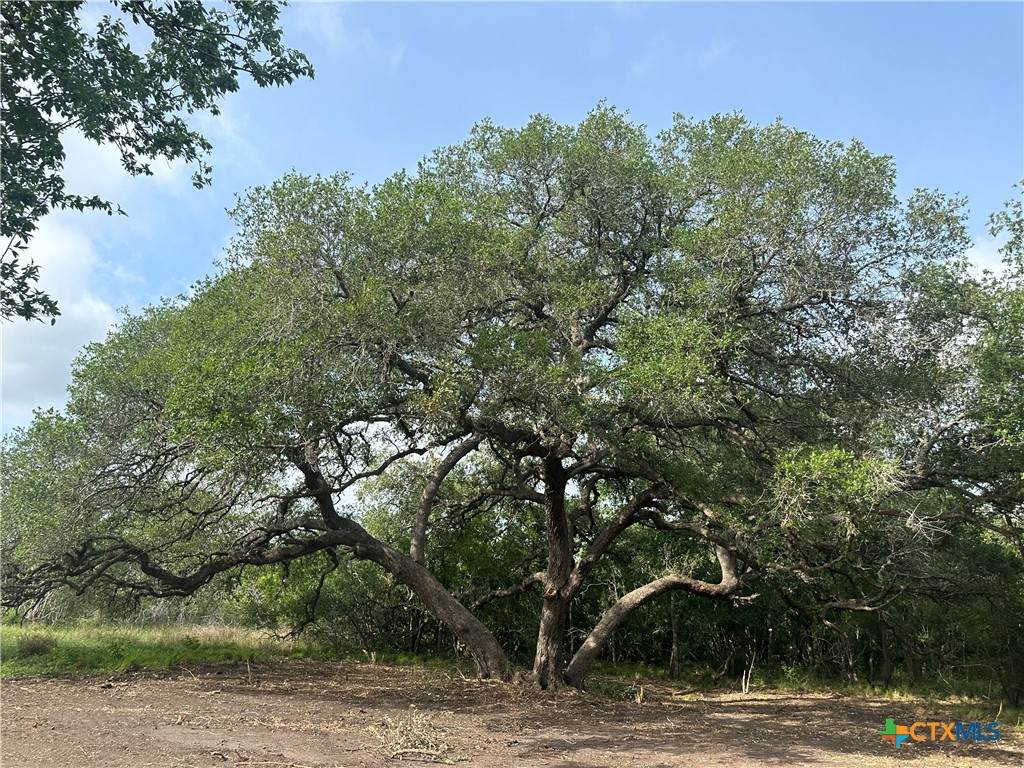 https://bt-photos.global.ssl.fastly.net/centraltx/orig_boomver_1_601552-2.jpg