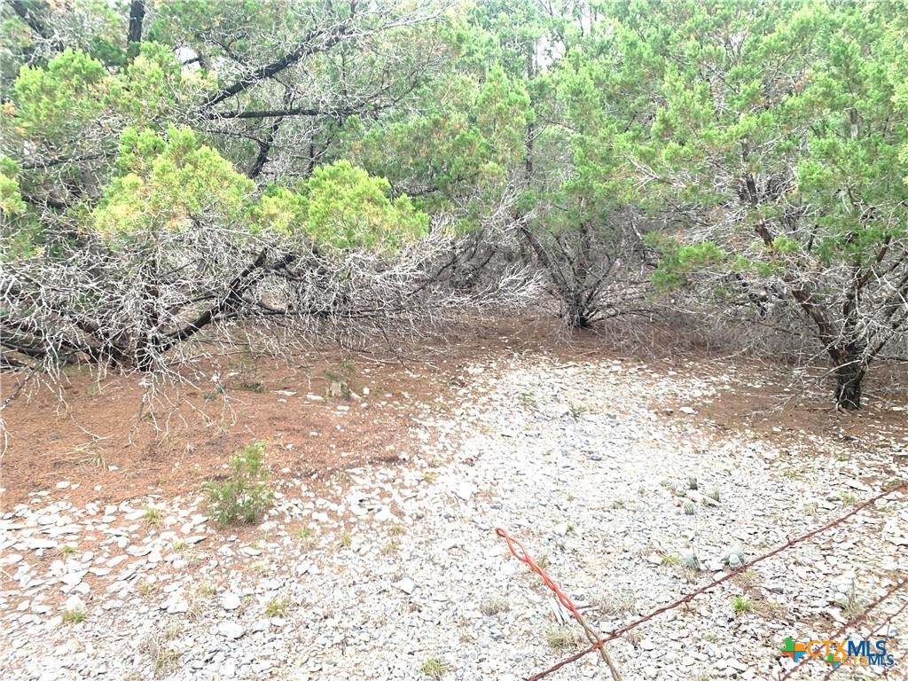 https://bt-photos.global.ssl.fastly.net/centraltx/orig_boomver_1_602744-2.jpg