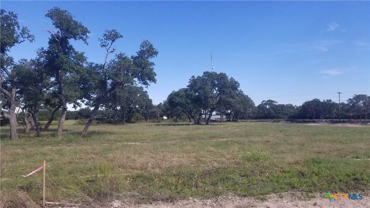 000 Enchanted Oaks - Photo 1
