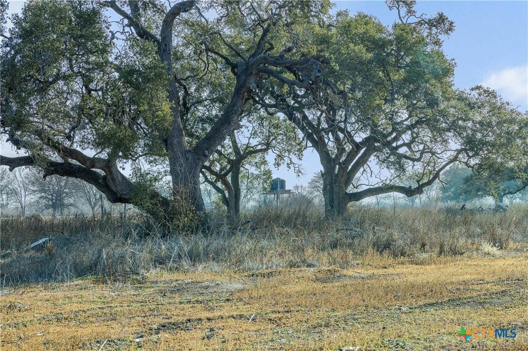 620 River Road - Photo 1