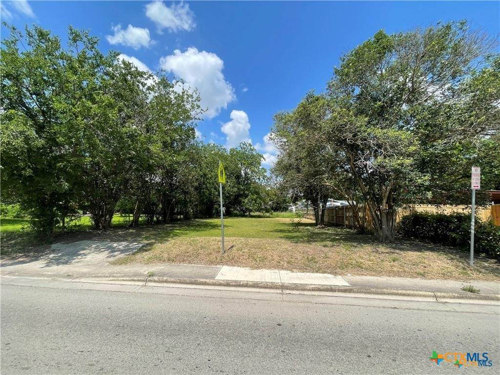 1006 Guadalupe Street - Photo 1