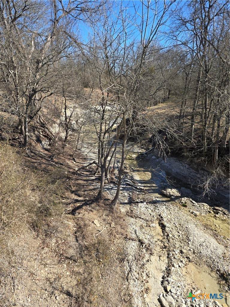 16251 Romberg Road - Photo 1