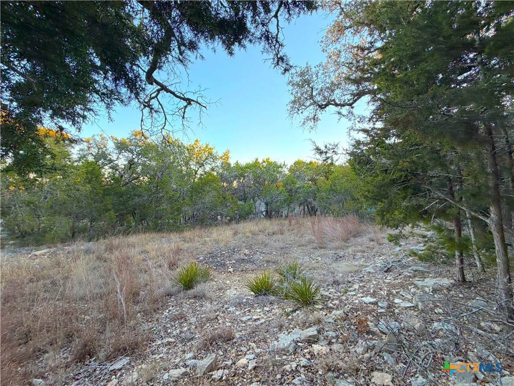 209 Legacy Ridge - Photo 1