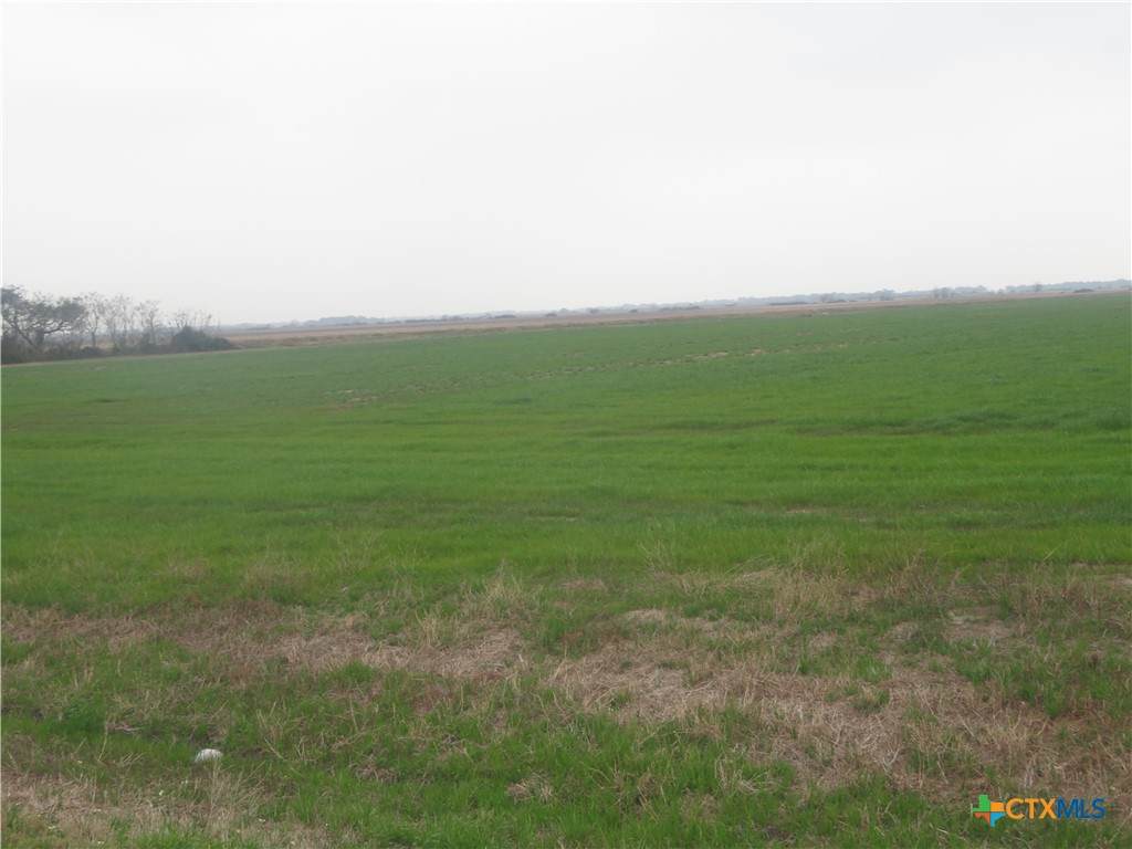 0 Fm 234 North - Photo 1