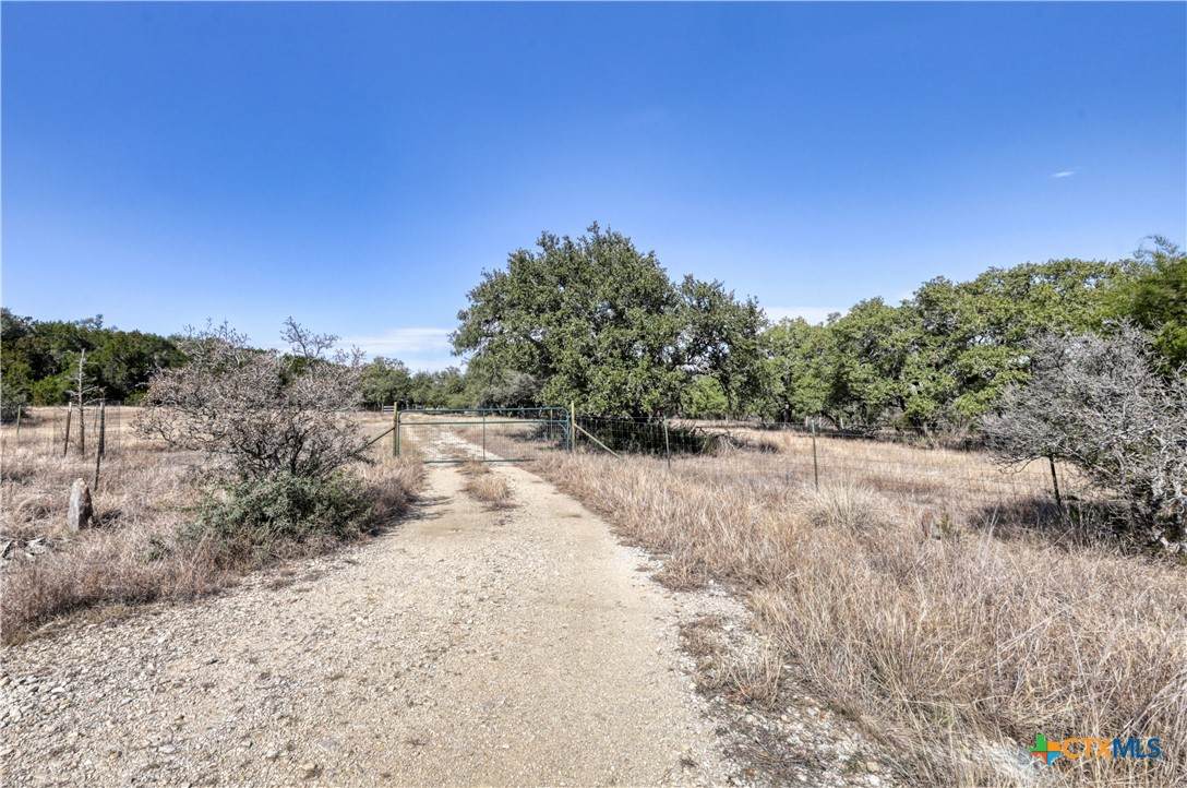 101 Purple Sage Street - Photo 1