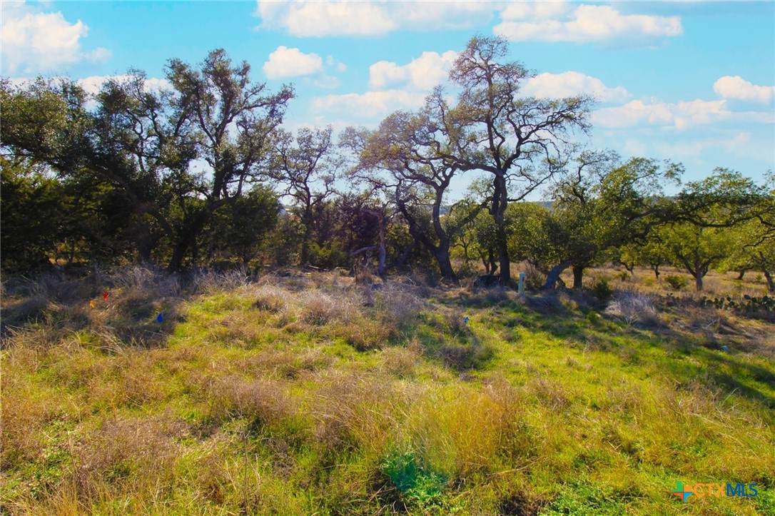 436 Cavy Road - Photo 1