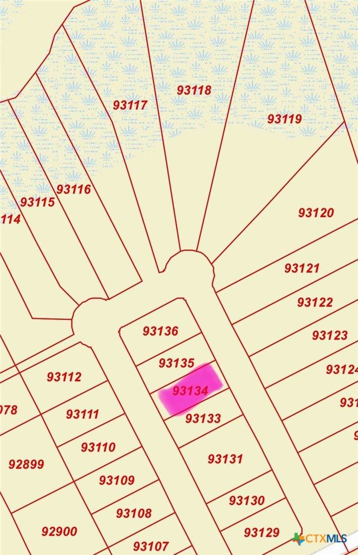 30 Boca Grande Loop - Photo 1