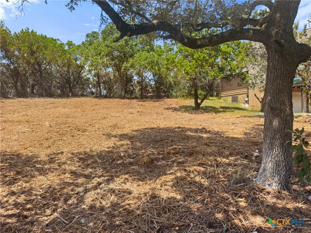 1107 High Point Lane - Photo 1